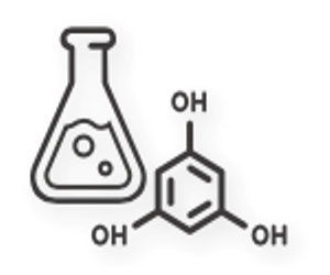 Chemie - Stepstones for Safety